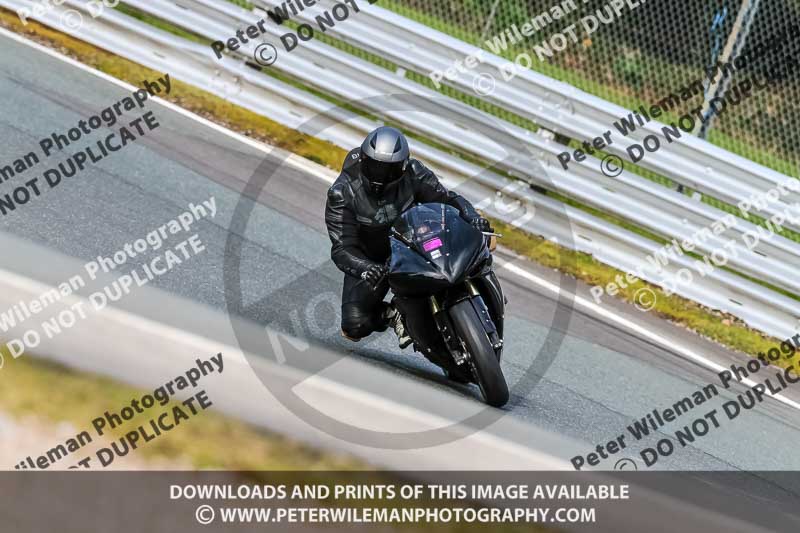 Oulton Park 21st March 2020;PJ Motorsport Photography 2020;anglesey;brands hatch;cadwell park;croft;donington park;enduro digital images;event digital images;eventdigitalimages;mallory;no limits;oulton park;peter wileman photography;racing digital images;silverstone;snetterton;trackday digital images;trackday photos;vmcc banbury run;welsh 2 day enduro